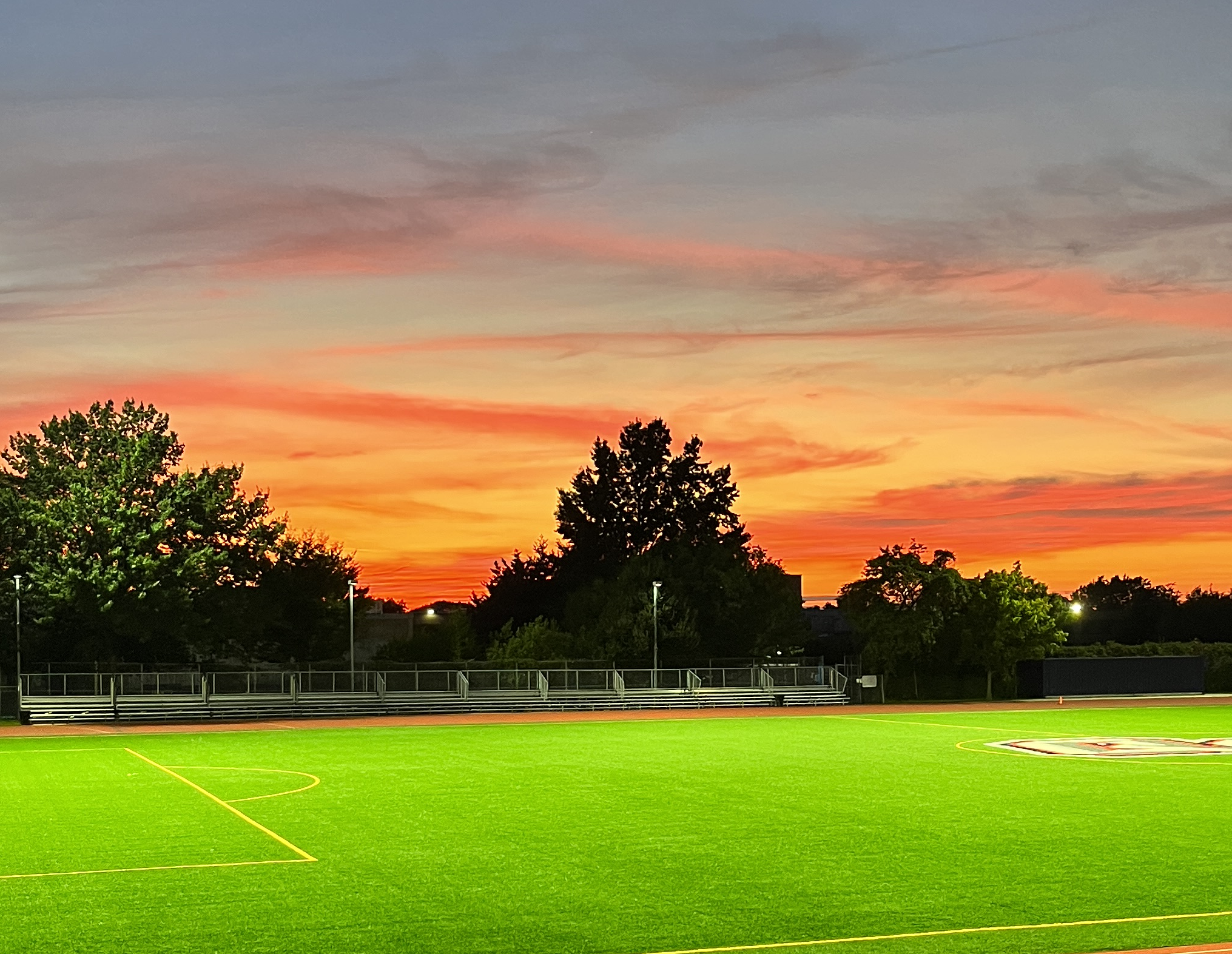 Professional Headshot